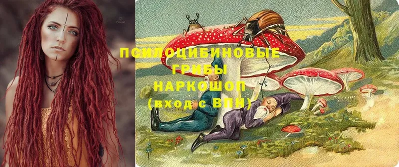 Галлюциногенные грибы Magic Shrooms  сколько стоит  нарко площадка официальный сайт  Лениногорск 